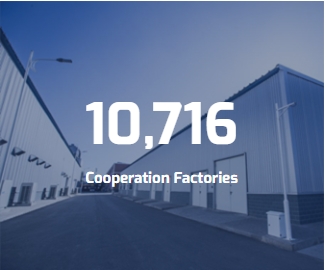 Calcium and Premium Bentonite Cat Litter Options