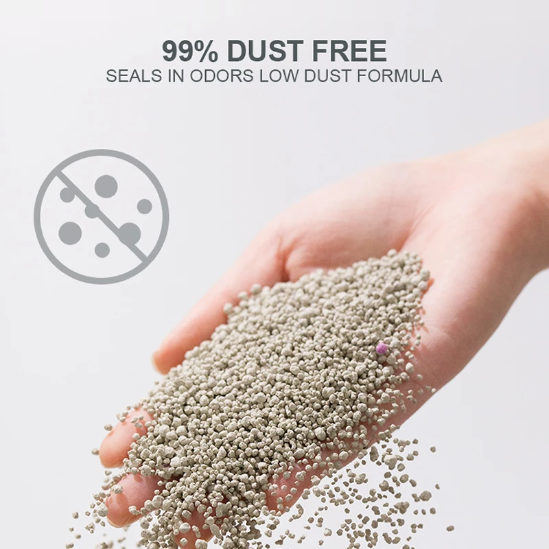 Dog Winter Clothes: The Right Choice In Cold Weather