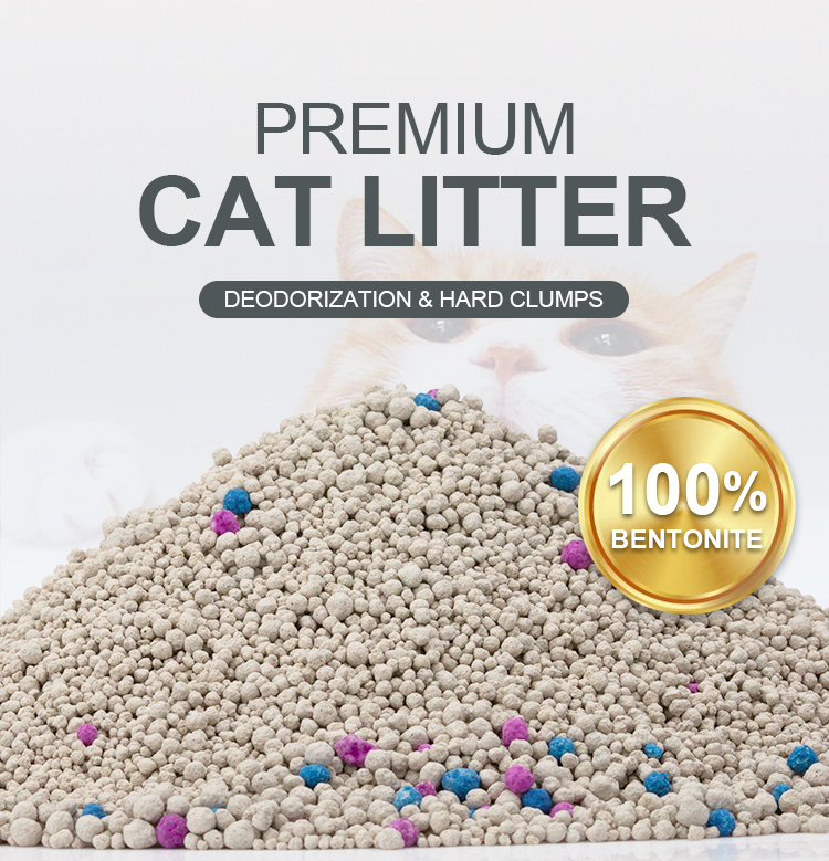 Read More About lightweight clumping cat litter
