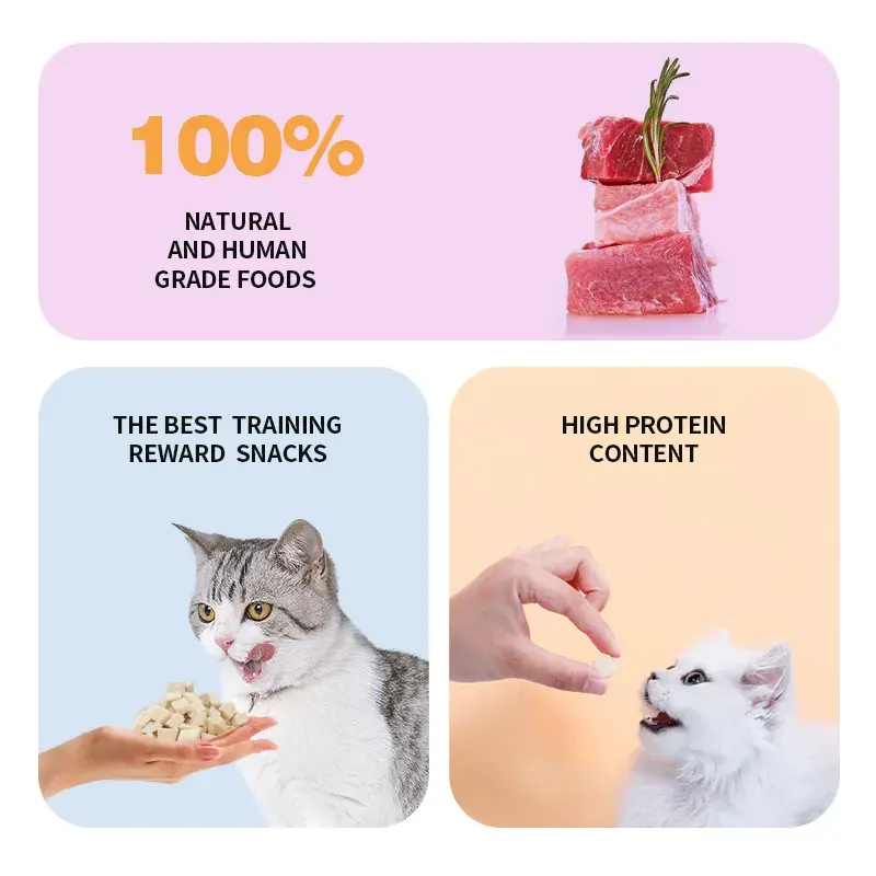 Read More About fresh pet treats